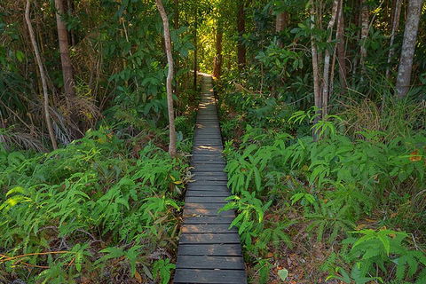 One Day Litchfield Park Adventures - Grafton Accommodation 4