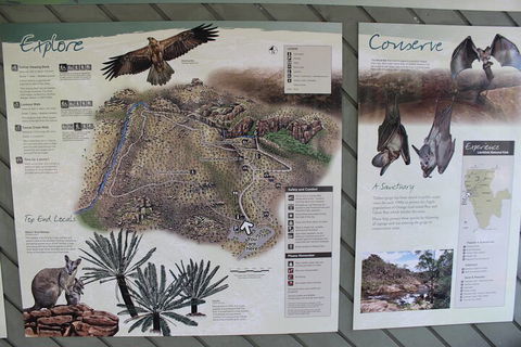 Jumping Crocodile Cruise And Berry Springs Nature Park - Grafton Accommodation 2