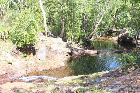 Jumping Crocodile Cruise And Berry Springs Nature Park - Grafton Accommodation 3