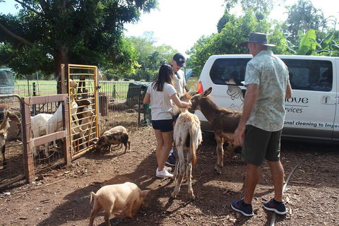 Jumping Crocodile Cruise And Berry Springs Nature Park - Grafton Accommodation 4