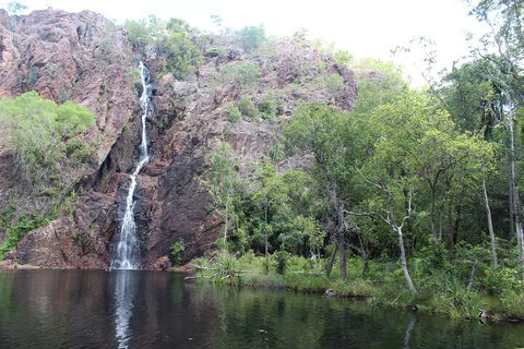Jumping Crocodile Cruise And Berry Springs Nature Park - Grafton Accommodation 5
