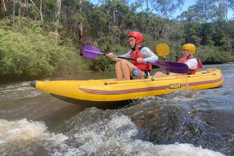Yarra River Half-Day Rafting Experience - Grafton Accommodation 1