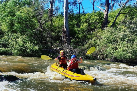 Yarra River Half-Day Rafting Experience - Grafton Accommodation 2