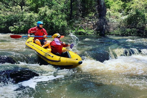 Yarra River Half-Day Rafting Experience - Grafton Accommodation 4