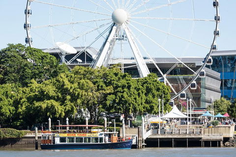 90min Brisbane River Cruise/Tour - Grafton Accommodation 2