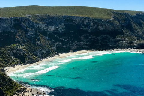 Kangaroo Island Scenic Trail Tour - Grafton Accommodation 4
