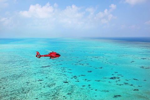 Ultimate Great Barrier Reef And Rainforest 45-minute Helicopter Tour - Grafton Accommodation 2