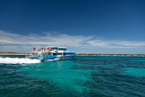 Rottnest Island All-Inclusive Grand Island Tour From Fremantle - Grafton Accommodation 3