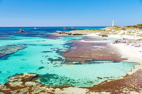 Perth To Rottnest Island Roundtrip Ferry Ticket - Grafton Accommodation 2