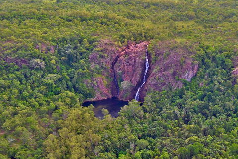 Litchfield Park & Daly River - Scenic Flight From Darwin - Grafton Accommodation 0