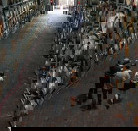 Wirra Wirra Vineyard McLaren Vale Winery Tour and Shiraz Masterclass - Grafton Accommodation