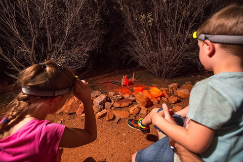 Alice Springs Desert Park Nocturnal Tour - Grafton Accommodation 4