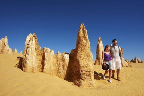 Half Day Pinnacles Sunset Tour - Grafton Accommodation 4