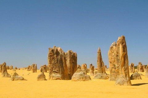 Half Day Pinnacles Sunset Tour - Grafton Accommodation 5