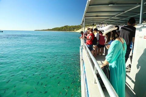 Adventure Moreton Island Wrecks Adventure Package - Grafton Accommodation 1
