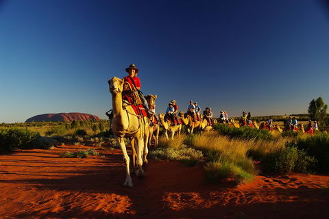 Uluru Small-Group Tour By Camel At Sunrise Or Sunset - Grafton Accommodation 1