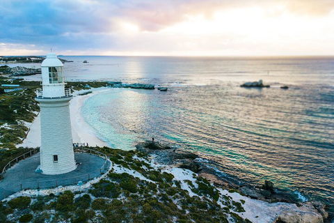 Discover Rottnest With Ferry & Bus Tour From Perth Or Fremantle - Grafton Accommodation 2