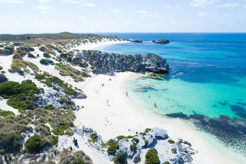Discover Rottnest With Ferry & Bus Tour From Perth Or Fremantle - Grafton Accommodation 5