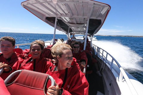 Adventure Rottnest Tour With Ferry & Adventure Cruise From Perth Or Fremantle - Grafton Accommodation 0