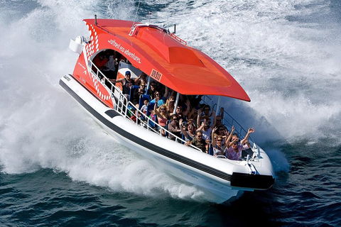 Adventure Rottnest Tour With Ferry & Adventure Cruise From Perth Or Fremantle - Grafton Accommodation 2