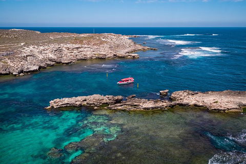 Adventure Rottnest Tour With Ferry & Adventure Cruise From Perth Or Fremantle - Grafton Accommodation 3