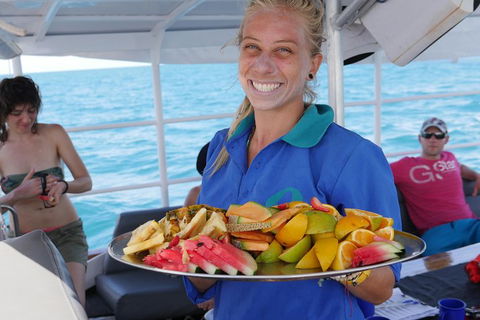 Ocean Free Green Island & Great Barrier Reef Snorkel Cruise, Cairns 25 Guests - Grafton Accommodation 1