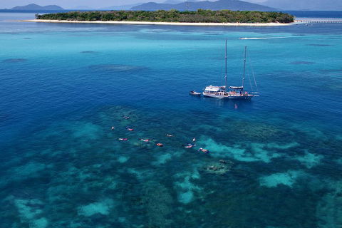 Ocean Free Green Island & Great Barrier Reef Snorkel Cruise, Cairns 25 Guests - Grafton Accommodation 2