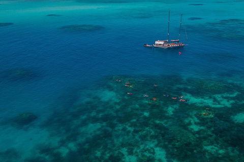 Ocean Free Green Island & Great Barrier Reef Snorkel Cruise, Cairns 25 Guests - Grafton Accommodation 5