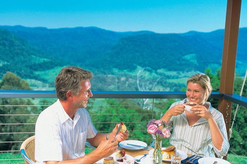 Brisbane Day In The Country Full-Day Small-Group Tour With Lunch - Grafton Accommodation 0