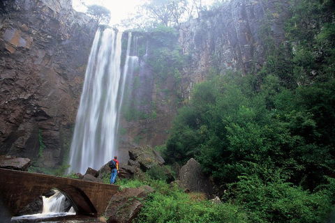 Brisbane Day In The Country Full-Day Small-Group Tour With Lunch - Grafton Accommodation 3