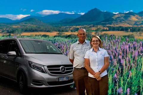 Brisbane Day In The Country Full-Day Small-Group Tour With Lunch - Grafton Accommodation 4