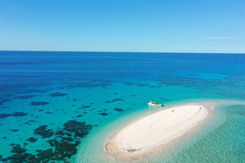 Ocean Safari Great Barrier Reef Experience In Cape Tribulation - Grafton Accommodation 0