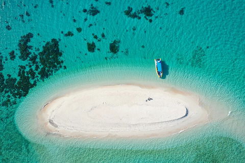 Ocean Safari Great Barrier Reef Experience In Cape Tribulation - Grafton Accommodation 3