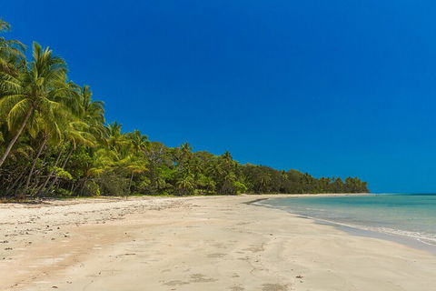 Ocean Safari Great Barrier Reef Experience In Cape Tribulation - Grafton Accommodation 4