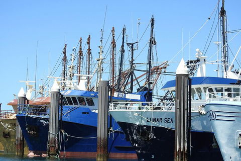 One Day Port Lincoln Tour - Tasting Eyre - Grafton Accommodation 0