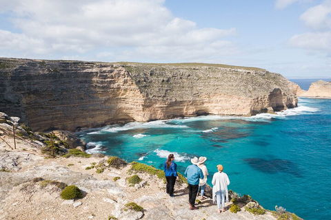 One Day Port Lincoln Tour - Tasting Eyre - Grafton Accommodation 1