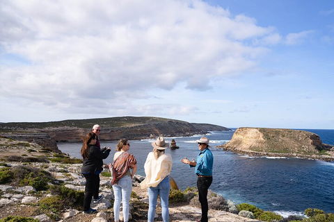 One Day Port Lincoln Tour - Tasting Eyre - Grafton Accommodation 4