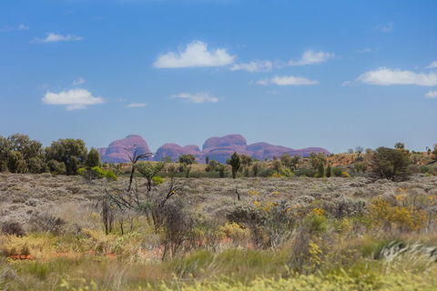 Overnight Uluru (Ayers Rock) Small-Group Camping Tour - Grafton Accommodation 0