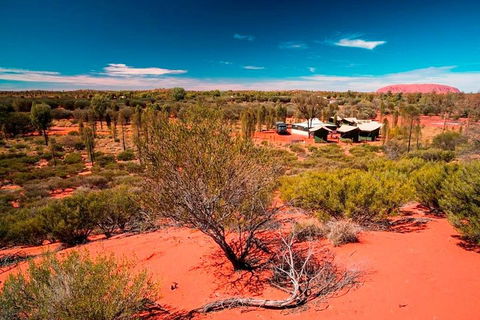 Overnight Uluru (Ayers Rock) Small-Group Camping Tour - Grafton Accommodation 2