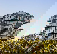 Small Group McLaren Vale and The Cube Experience - Grafton Accommodation