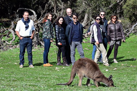 Full Day Seal Bay Experience Departing From Kangaroo Island - Grafton Accommodation 3