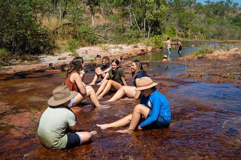 Litchfield National Park Waterfalls And Wildlife Tour From Darwin - Grafton Accommodation 1