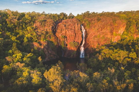 Litchfield National Park Waterfalls And Wildlife Tour From Darwin - Grafton Accommodation 2