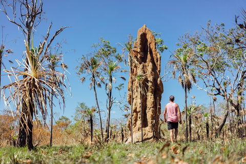 Litchfield National Park Waterfalls And Wildlife Tour From Darwin - Grafton Accommodation 4
