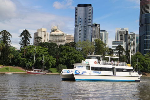 Lone Pine Koala Sanctuary Admission With Brisbane River Cruise - Grafton Accommodation 2