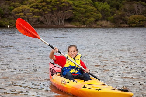 Kangaroo Island Self-Guided Kayaking On The Harriet River - Grafton Accommodation 1