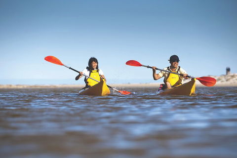 Kangaroo Island Self-Guided Kayaking On The Harriet River - Grafton Accommodation 2