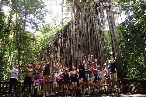 Atherton Tablelands Waterfalls Tour From Cairns - Grafton Accommodation 5