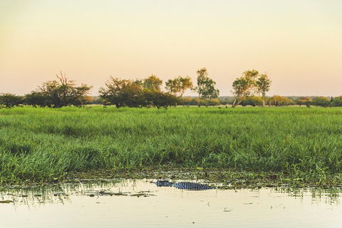 Yellow Water Cruise - Kakadu - Grafton Accommodation 3