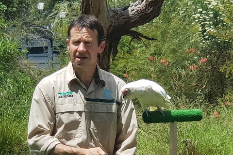 Healesville Sanctuary And Rayners Orchard Tour From Melbourne - Grafton Accommodation 0